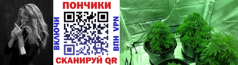 цены   Балтийск  Конопля AK-47 